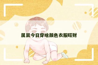 属鼠今日穿啥颜色衣服旺财
