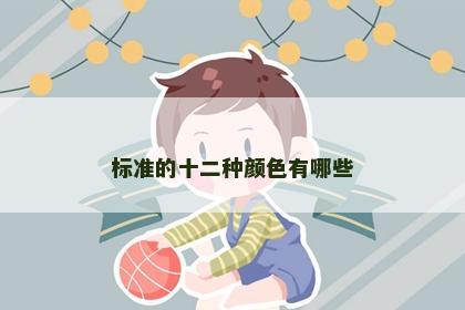 标准的十二种颜色有哪些