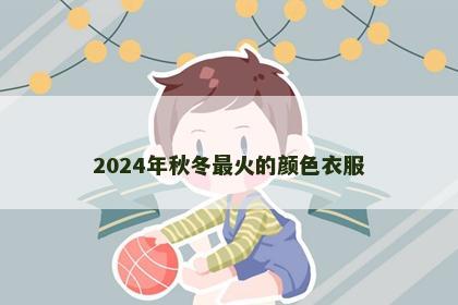 2024年秋冬最火的颜色衣服