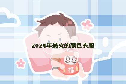 2024年最火的颜色衣服