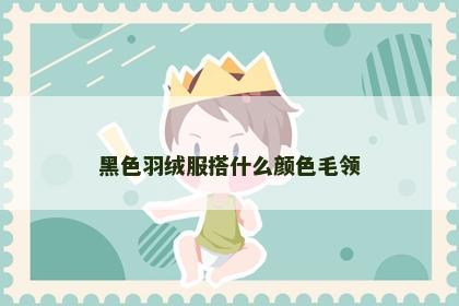黑色羽绒服搭什么颜色毛领