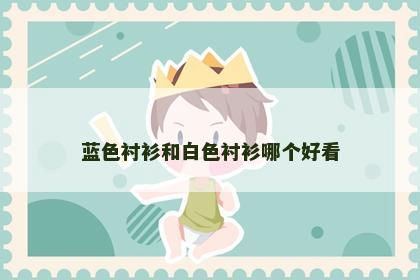 蓝色衬衫和白色衬衫哪个好看