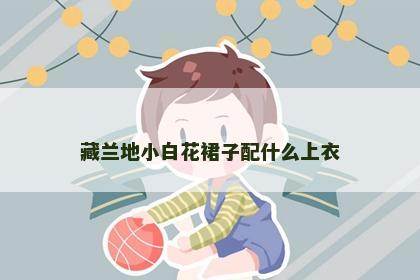 藏兰地小白花裙子配什么上衣