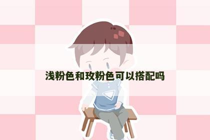 浅粉色和玫粉色可以搭配吗