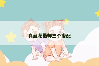 真丝花最帅三个搭配