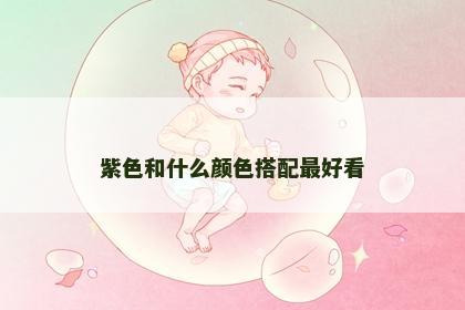 紫色和什么颜色搭配最好看