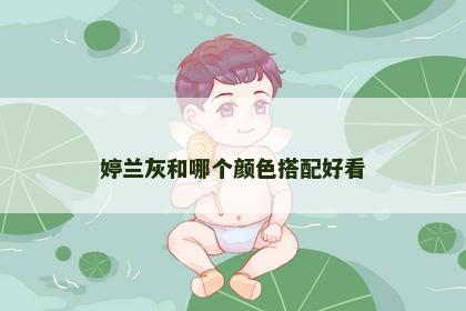 婷兰灰和哪个颜色搭配好看