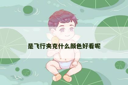 是飞行夹克什么颜色好看呢