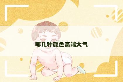 哪几种颜色高端大气