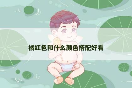 橘红色和什么颜色搭配好看