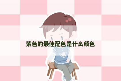 紫色的最佳配色是什么颜色