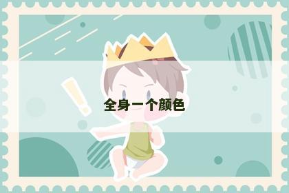 全身一个颜色