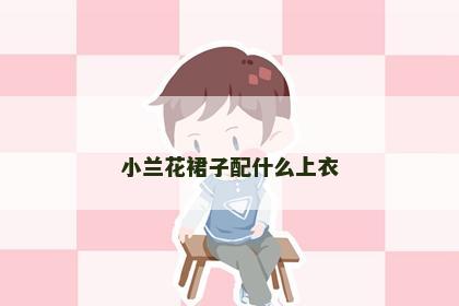 小兰花裙子配什么上衣