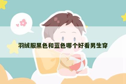 羽绒服黑色和蓝色哪个好看男生穿